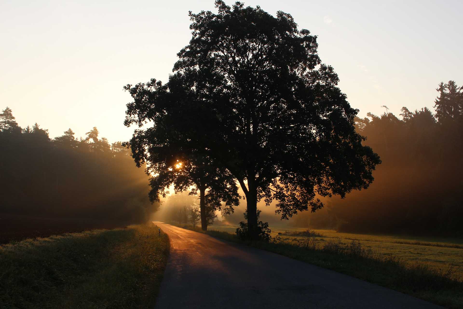 Rural Bavarian countryside sunset